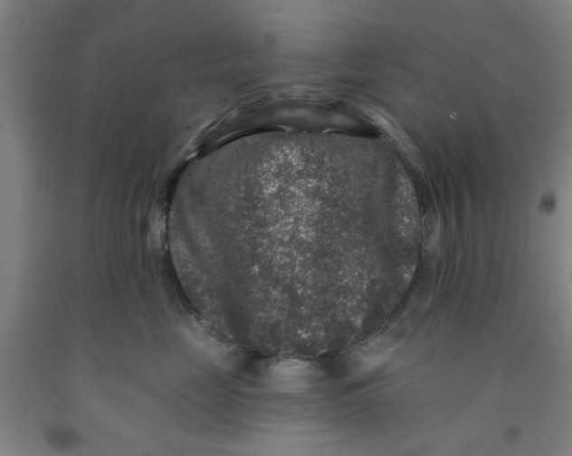 X0000091950669200709271327