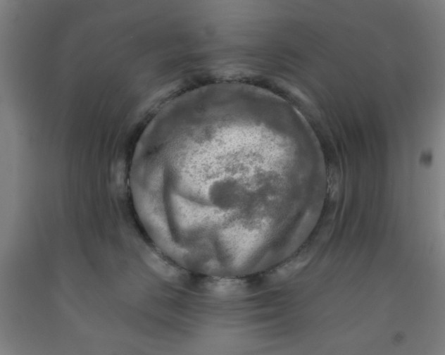 X0000091950670200709271327