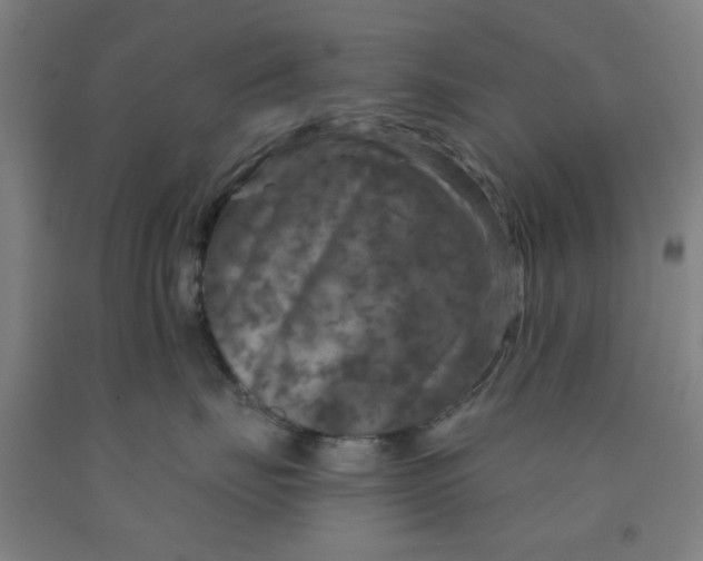 X0000091950671200709271327