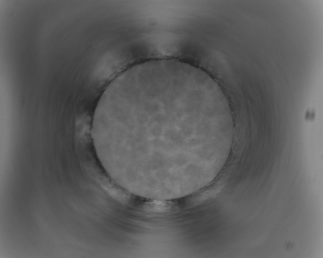 X0000091950672200709271327