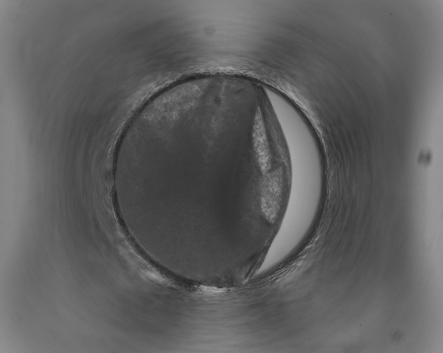 X0000091950673200709271326