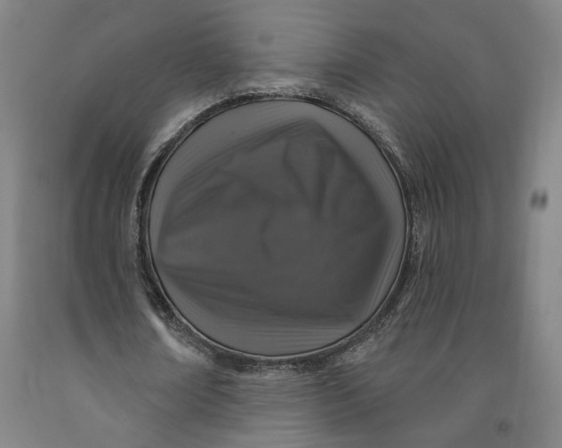 X0000091950674200709271326