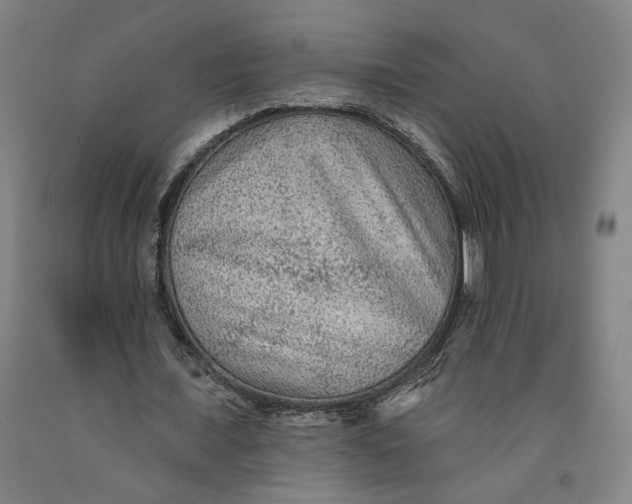 X0000091950675200709271326