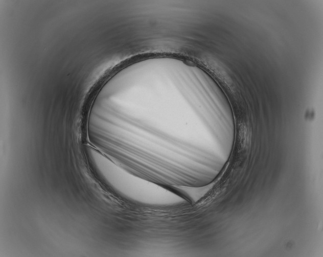 X0000091950676200709271326