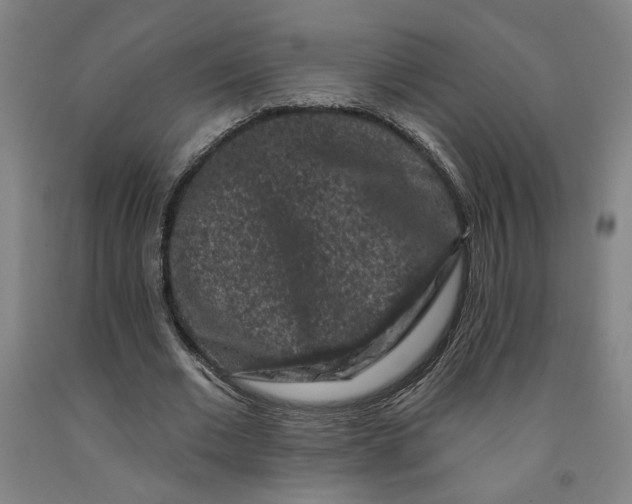 X0000091950677200709271326