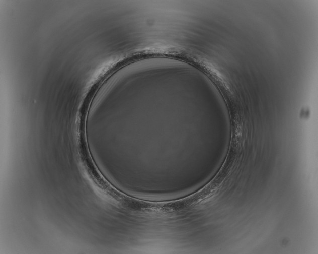 X0000091950678200709271326