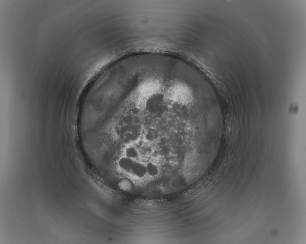 X0000091950679200709271326