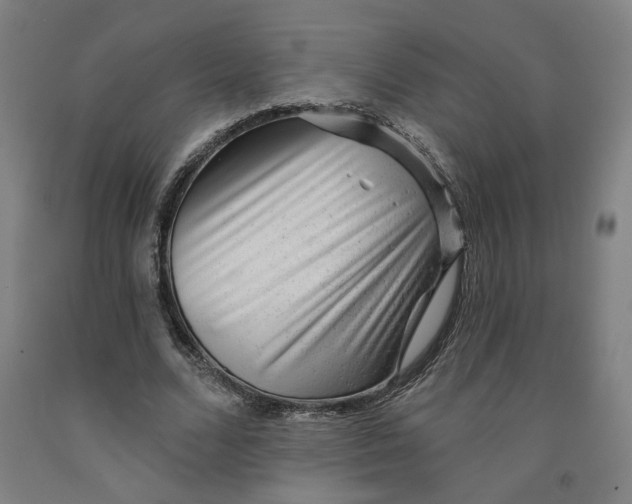 X0000091950680200709271326