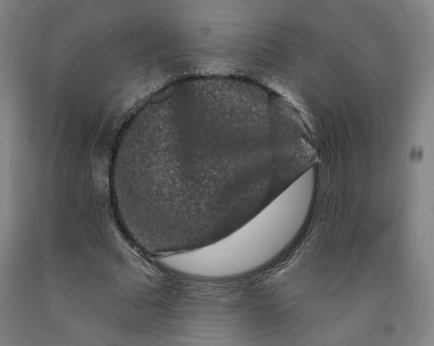 X0000091950681200709271326