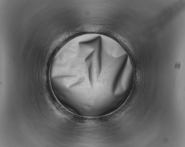 X0000091950682200709271326