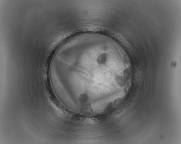 X0000091950683200709271326