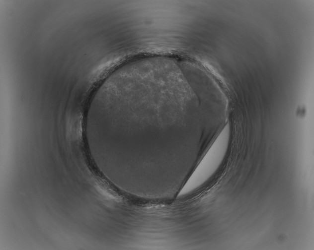 X0000091950685200709271326