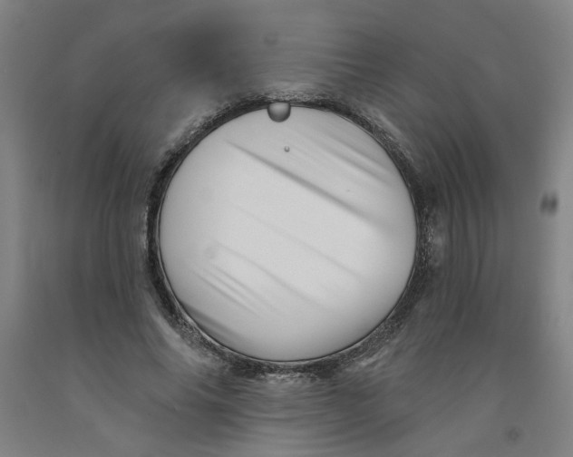 X0000091950686200709271326