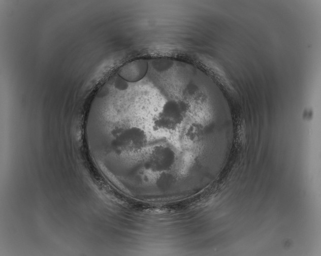 X0000091950687200709271326