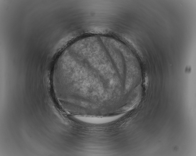 X0000091950688200709271326