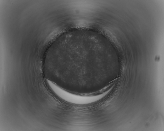 X0000091950689200709271326