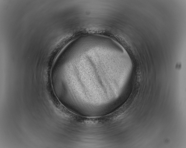 X0000091950690200709271326