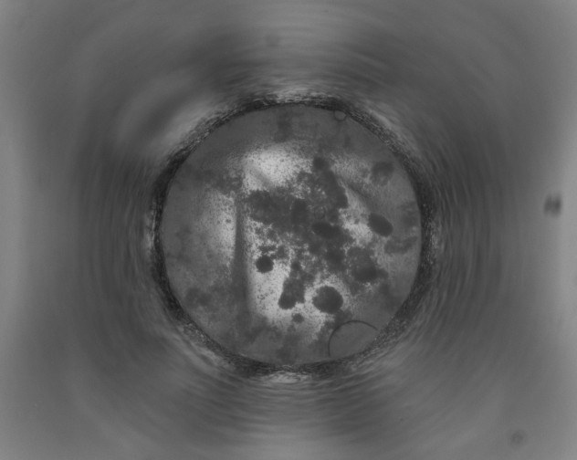 X0000091950691200709271326