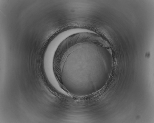 X0000091950692200709271326