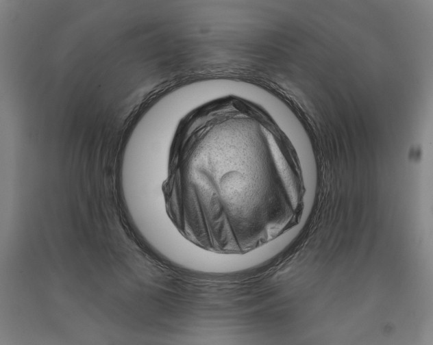 X0000091950693200709271326