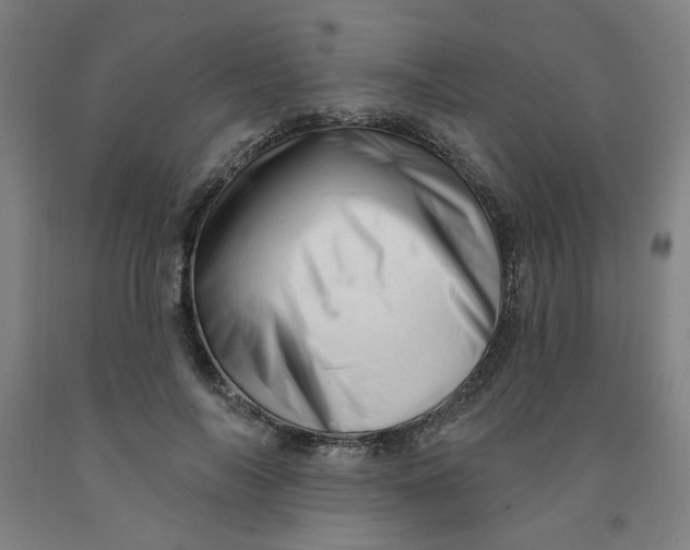 X0000091950694200709271326