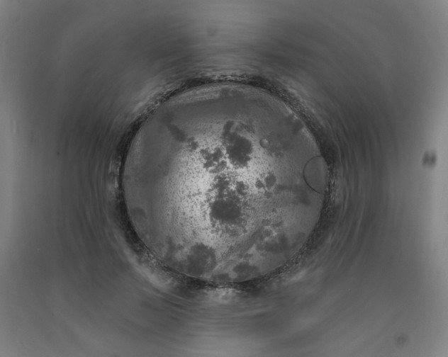 X0000091950695200709271326