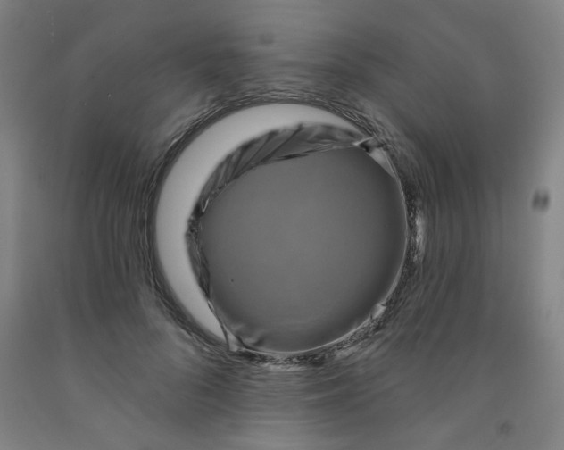 X0000091950696200709271326