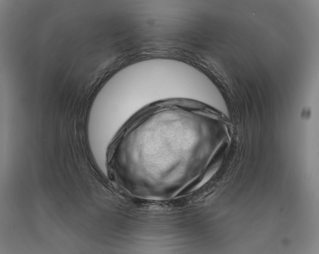 X0000091950697200709271326