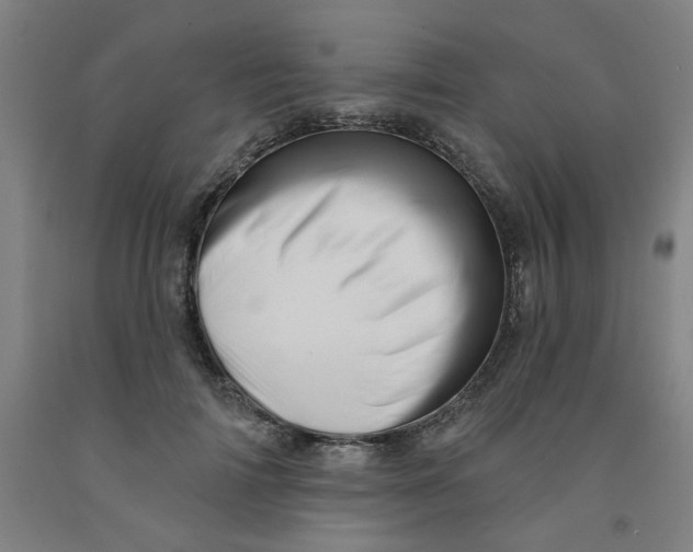 X0000091950698200709271326