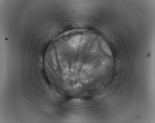 X0000091950699200709271326