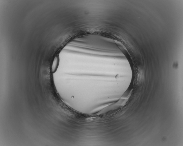 X0000091950700200709271326