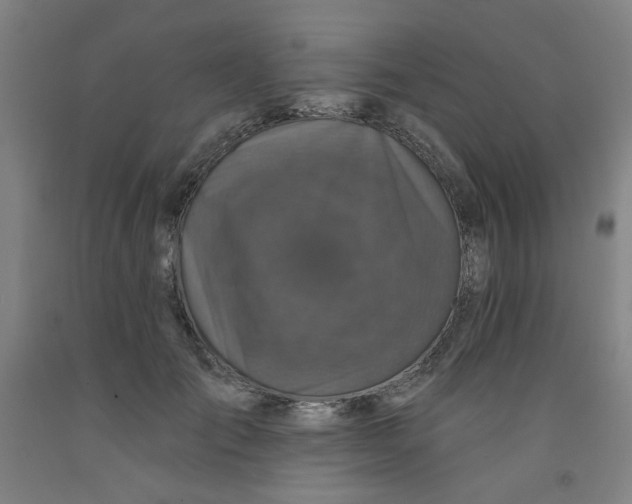 X0000091950701200709271326