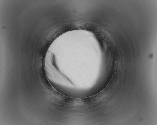 X0000091950702200709271326