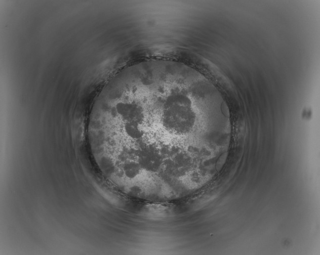 X0000091950703200709271326