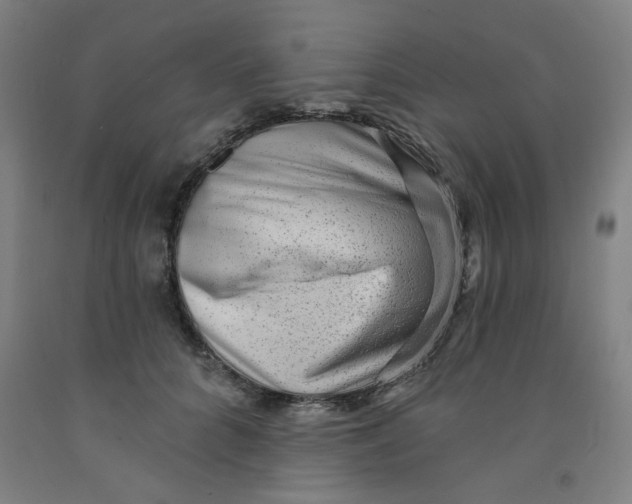 X0000091950704200709271326