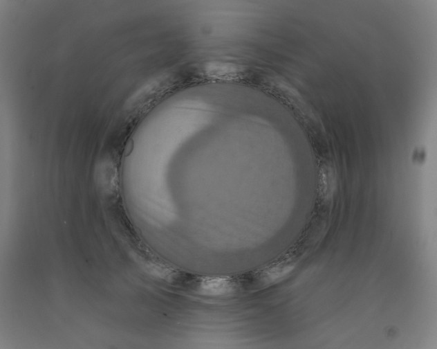 X0000091950705200709271326