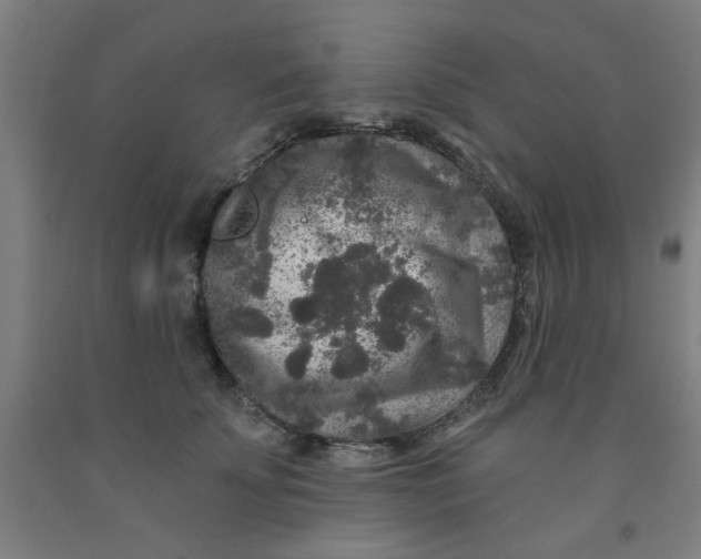 X0000091950707200709271326