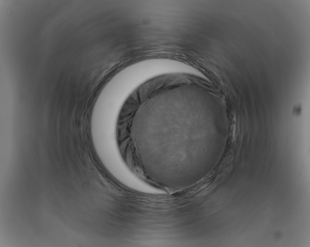 X0000091950708200709271326