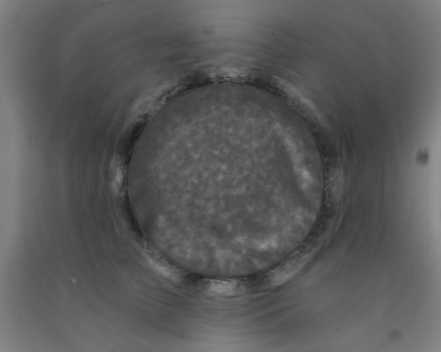 X0000091950709200709271326