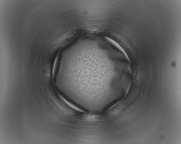 X0000091950710200709271326