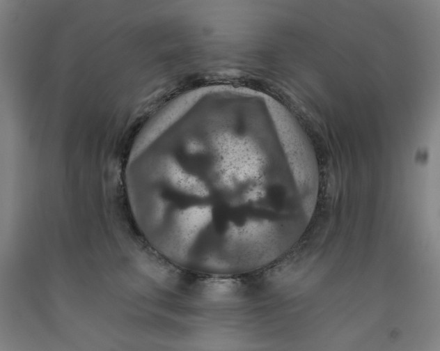 X0000091950711200709271326