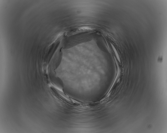 X0000091950712200709271326