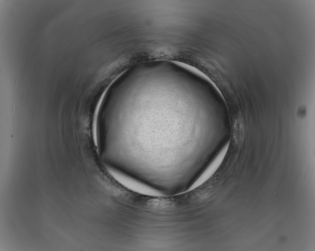 X0000091950714200709271326