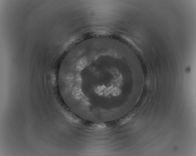 X0000091950715200709271326