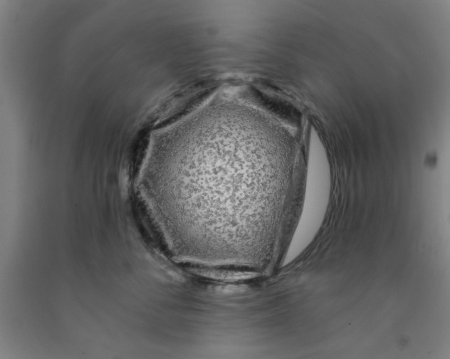 X0000091950716200709271326