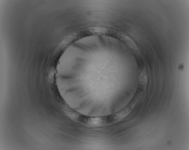 X0000091950717200709271326