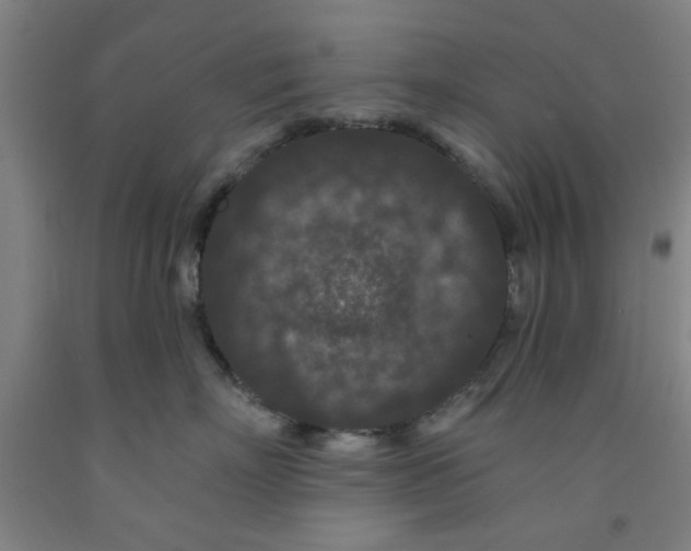 X0000091950718200709271326