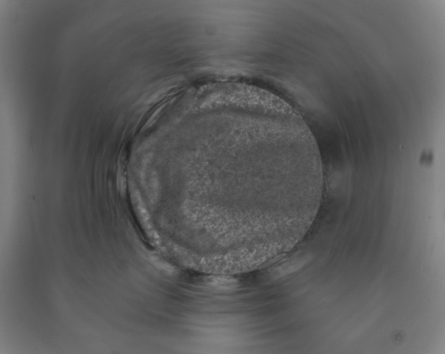 X0000091950719200709271326