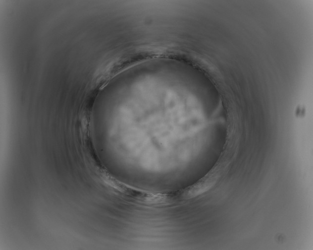 X0000091950720200709271326