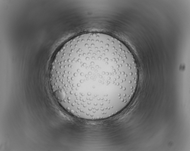 X0000091950721200709271325